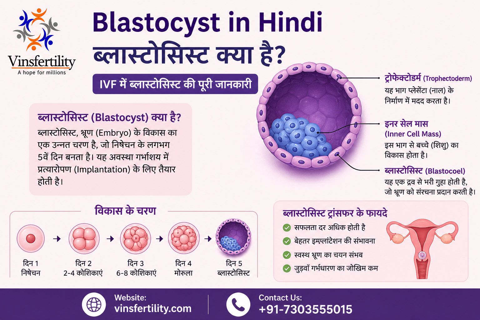 ब्लास्टोसिस्ट (Blastocyst) क्या है? Day 3 vs Day 5 ट्रांसफर